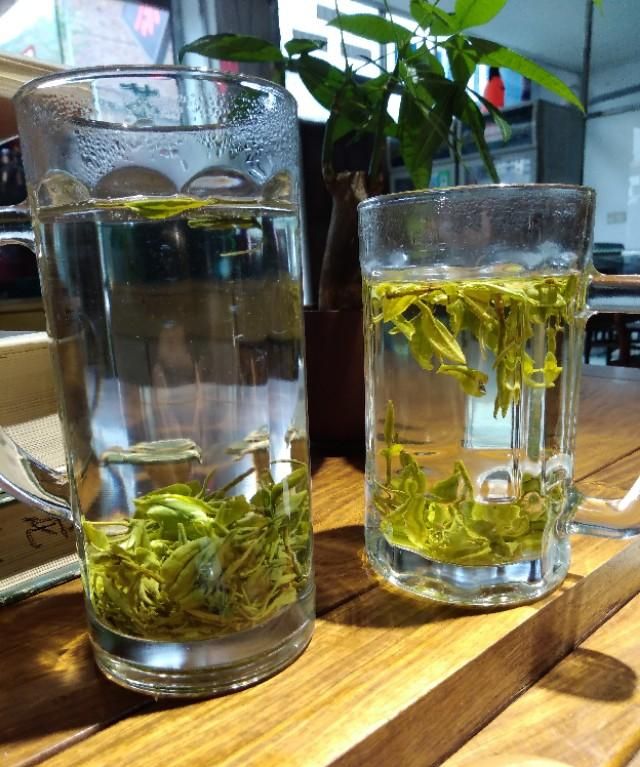 绿茶第一泡需要倒掉吗,绿茶的第一盒需要倒掉吗图3