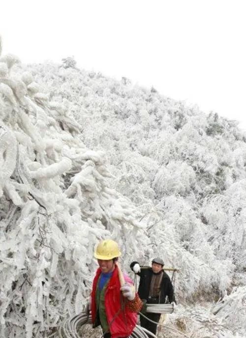 南方地区常见的自然灾害有哪些(90年代南方水灾怎样导致的)图6