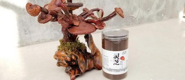 如何宣传功能性食品才不违规(严禁利用什么进行保健食品的宣传)图5