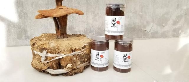 如何宣传功能性食品才不违规(严禁利用什么进行保健食品的宣传)图7