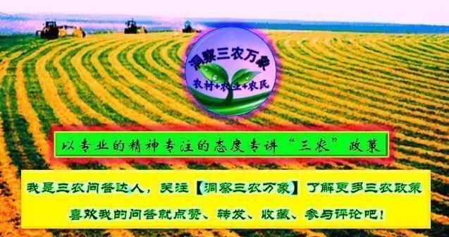 青苔怎么种植怎么培养,盆景如何种植青苔图11