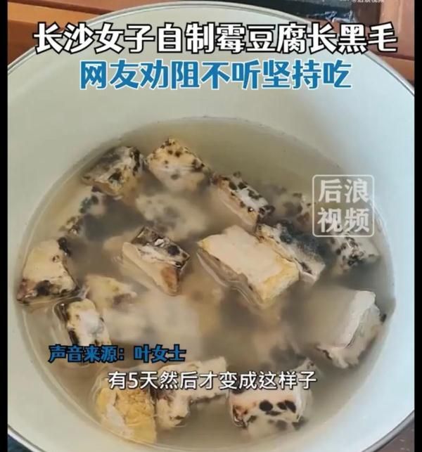 网友自制霉豆腐长黑毛(做霉豆腐长黑毛能不能要)图1