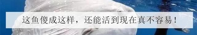 海水冷却火箭,有海底火箭吗图8