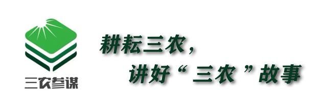 畸形草莓到底能不能吃(畸形草莓能吃吗是什么导致畸形的)图16