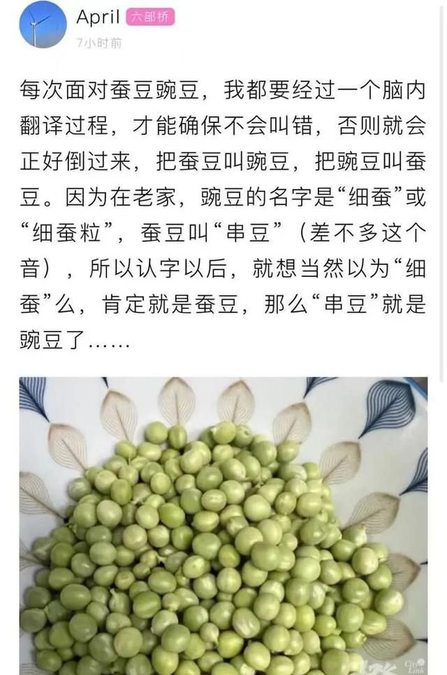 中国的荷兰豆在荷兰叫什么图2