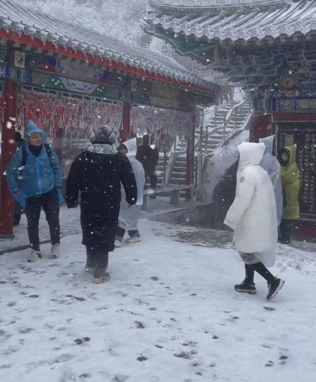 河南洛阳老君山现在下雪了么(洛阳老君山云层奇观)图2