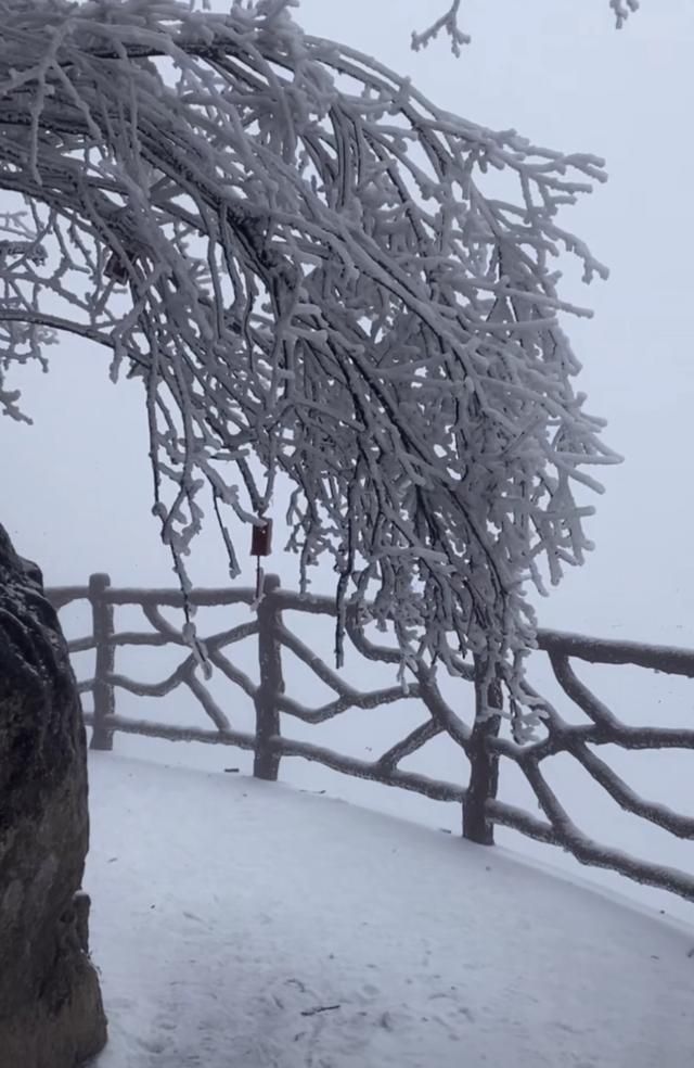 河南洛阳老君山现在下雪了么(洛阳老君山云层奇观)图4