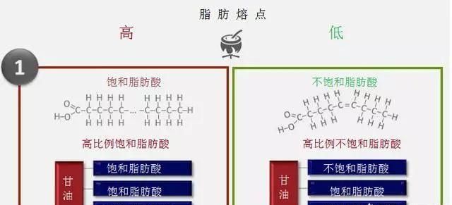 排骨汤上面一层白油好吗图3