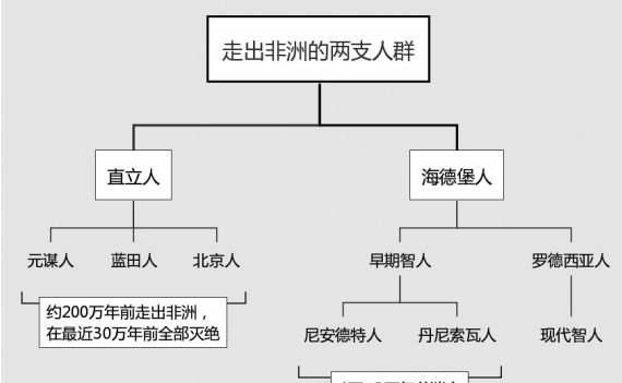 凤鸟是雄鸟,为何最终成为女性的代名词呢图10