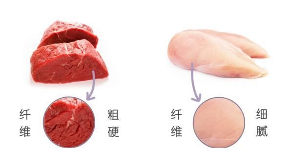 红肉和白肉哪个对身体好(红肉和白肉哪一样对身体好)图5