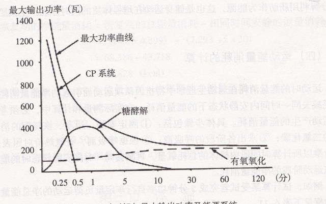 人体有哪几种供能系统组成图5