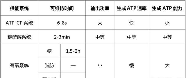 人体有哪几种供能系统组成图6