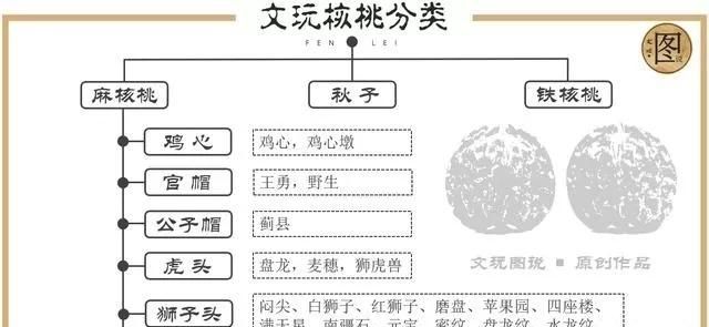 盘好的官帽猴头核桃图片图2