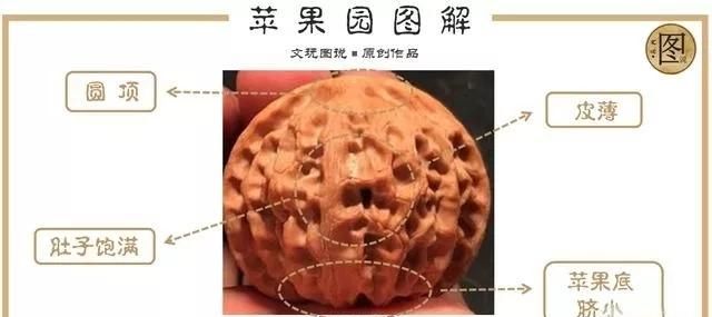 盘好的官帽猴头核桃图片图23