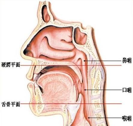 核酸检测时棉签只碰到舌头有用吗图1