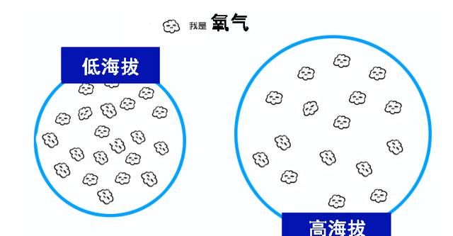 高原上给车加纯氧可行吗图1