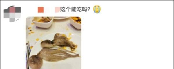 蓝环章鱼有毒为什么还这么多人养图5