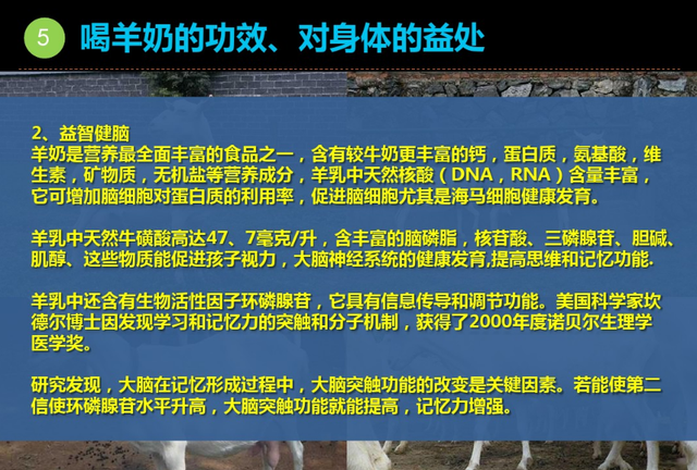 世界前十名羊奶粉排行榜图片,羊奶粉的功效与作用中医解释图18