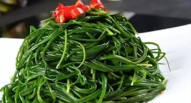 沙葱戈壁才有的野菜怎么样(沙葱属于野菜吗)图3