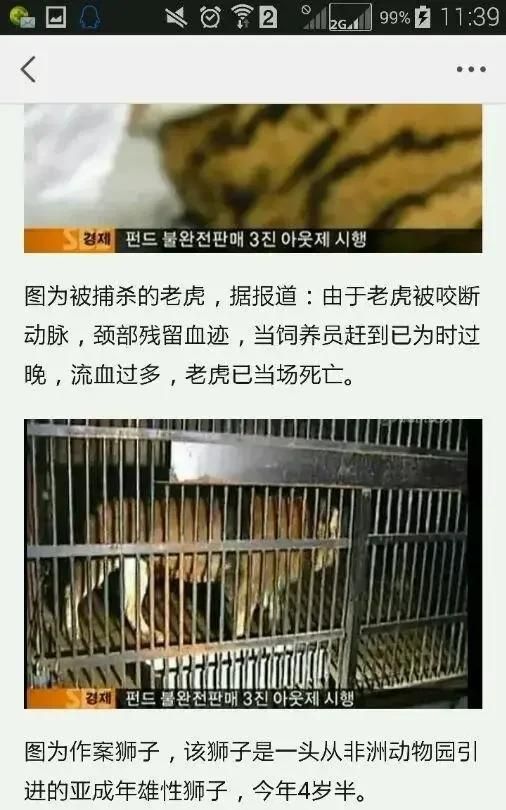 对动物同情心泛滥的人是什么心态图4