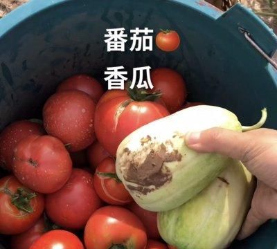 肥而不腻的爆炒腊肠做法图3