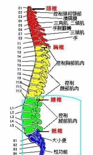 高位截瘫能自理吗(高位截瘫小朋友自理)图1