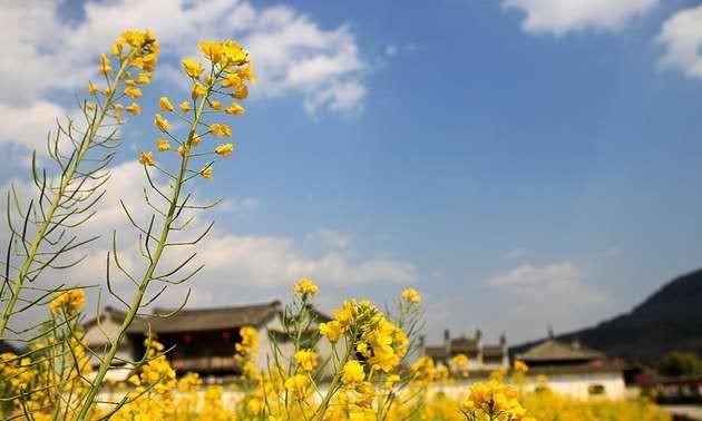 一个男人对你说陌上花开什么意思图2