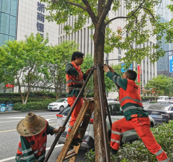 再升级!杭州发布台风黄色预警信号图18