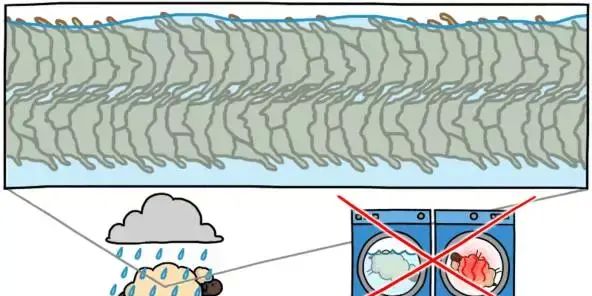 羊毛衫一洗就缩水,淋雨的绵羊也会被羊毛勒死吗图12
