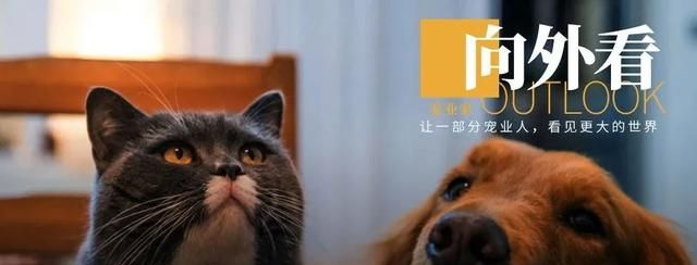 天猫双11官方直播间主播图3