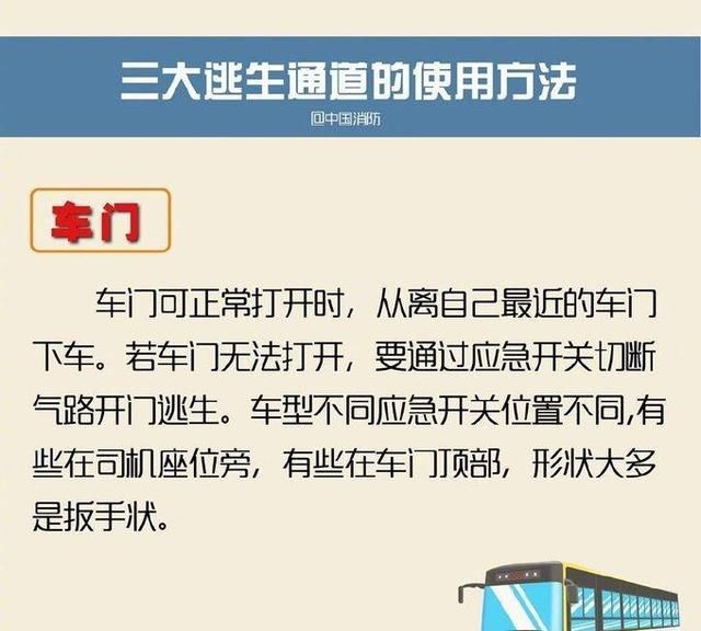 大巴车怎么坐,对号入座(乘大巴车需要注意哪些事项)图2