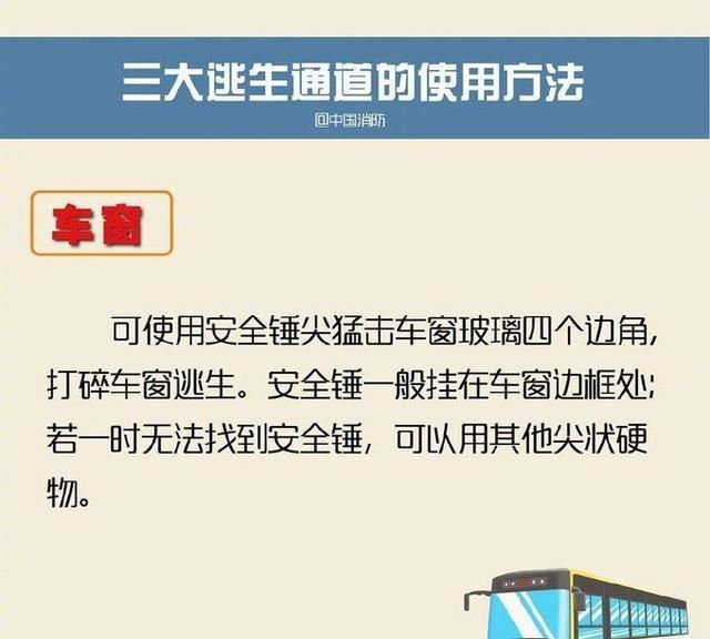 大巴车怎么坐,对号入座(乘大巴车需要注意哪些事项)图3