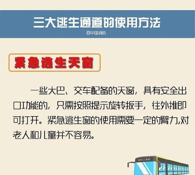 大巴车怎么坐,对号入座(乘大巴车需要注意哪些事项)图4