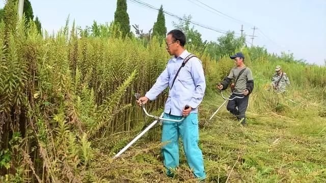 那些影响养殖业的外来入侵物种大盘点的因素图7