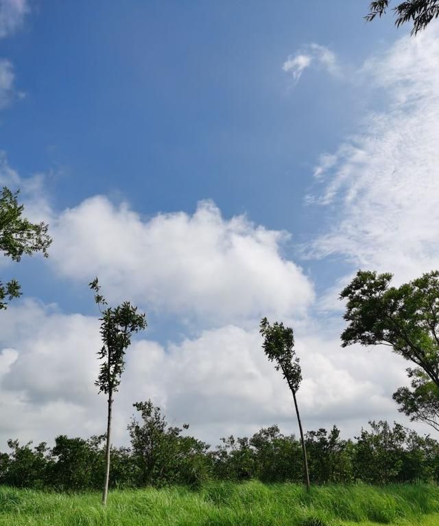 夏日时光,周末踏青英文,周末踏青一片春光图2