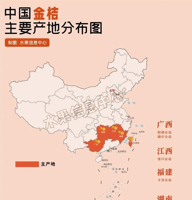 金桔品种及产地,金桔的品种有几种图4