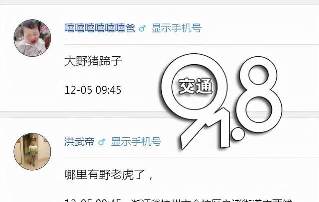 2018年野生华南虎脚印(江西专家发现华南虎脚印)图5