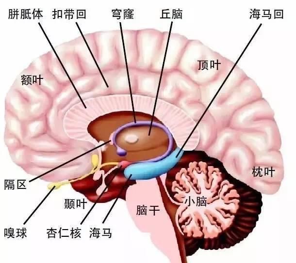 人类最原始的恐惧是什么(人类最原始的恐惧是对未知的恐惧)图2