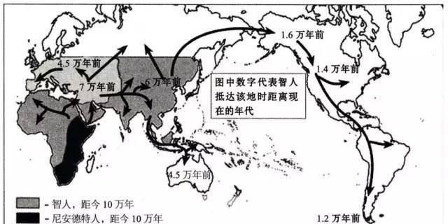 虽然种族有差异,但为什么没有形成生殖隔离图8