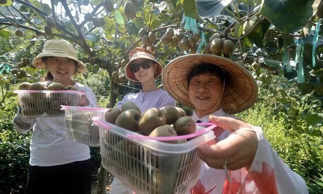 宁波水果上市时间表(各种奇特水果的正确吃法)图5