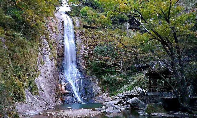 华东最后一片森林天堂寨景区,华东大别山天堂寨风景区图4