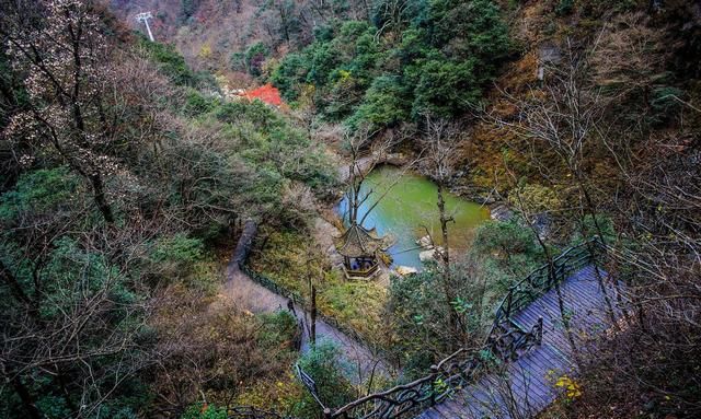 华东最后一片森林天堂寨景区,华东大别山天堂寨风景区图8