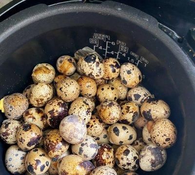 鹌鹑蛋电饭煲简单做法(电饭锅鹌鹑蛋怎么做最好吃又好卖)图11