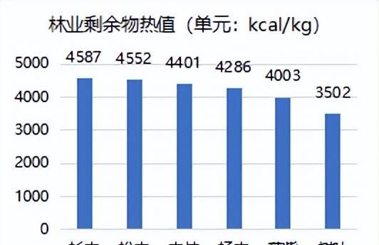 生物质发电市场分析图6