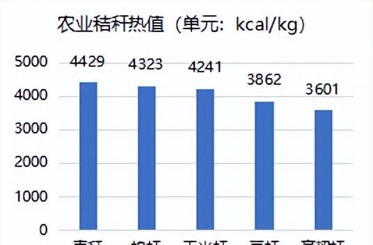 生物质发电市场分析图7