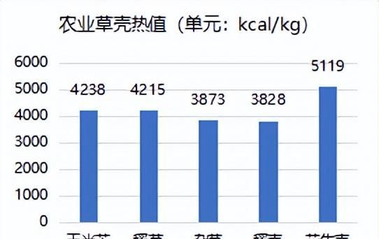 生物质发电市场分析图8