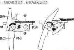 为什么有人说儒学阻碍科学发展图4