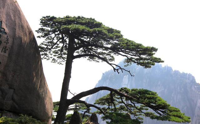 天下第一奇山是指什么山,天下第一奇山黄山在哪里图4