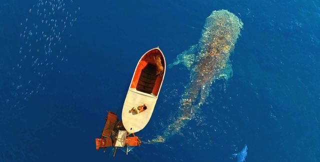 人类在海里复活事件图7