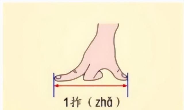 一年级数学身上的小尺子小报(一年级上册数学我们身体上的尺子)图1